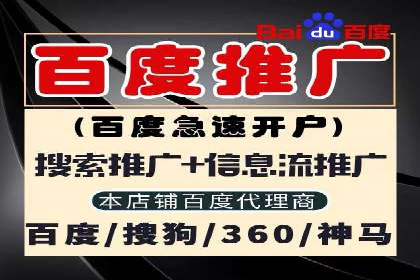 百度推广代运营公司成功案例：精准投放广告的秘诀